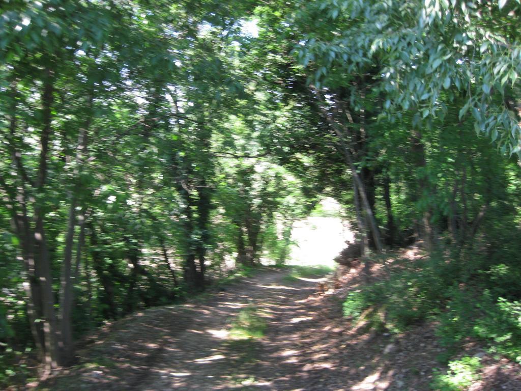 Agriturismo Campagnoletto Cavriana Номер фото