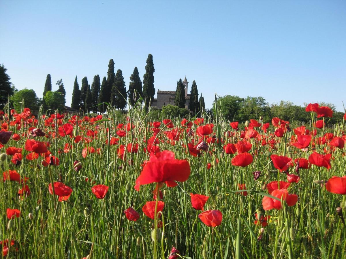 Agriturismo Campagnoletto Cavriana Экстерьер фото