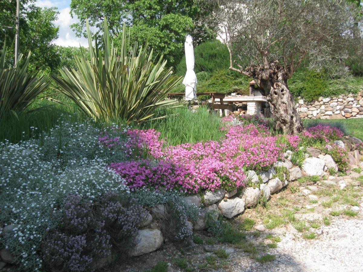 Agriturismo Campagnoletto Cavriana Экстерьер фото